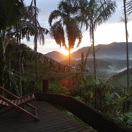 Eco Hostel Organic Life Trindade  Buitenkant foto