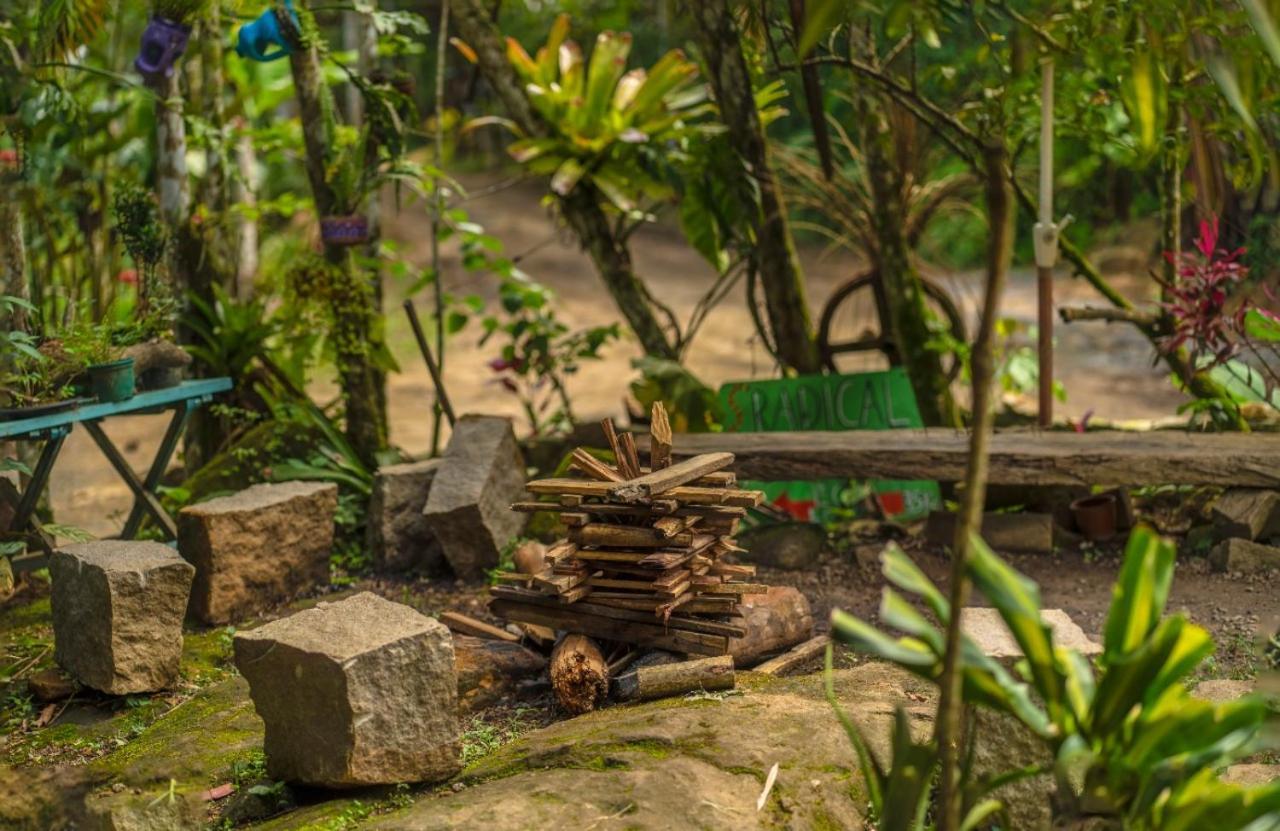 Eco Hostel Organic Life Trindade  Buitenkant foto