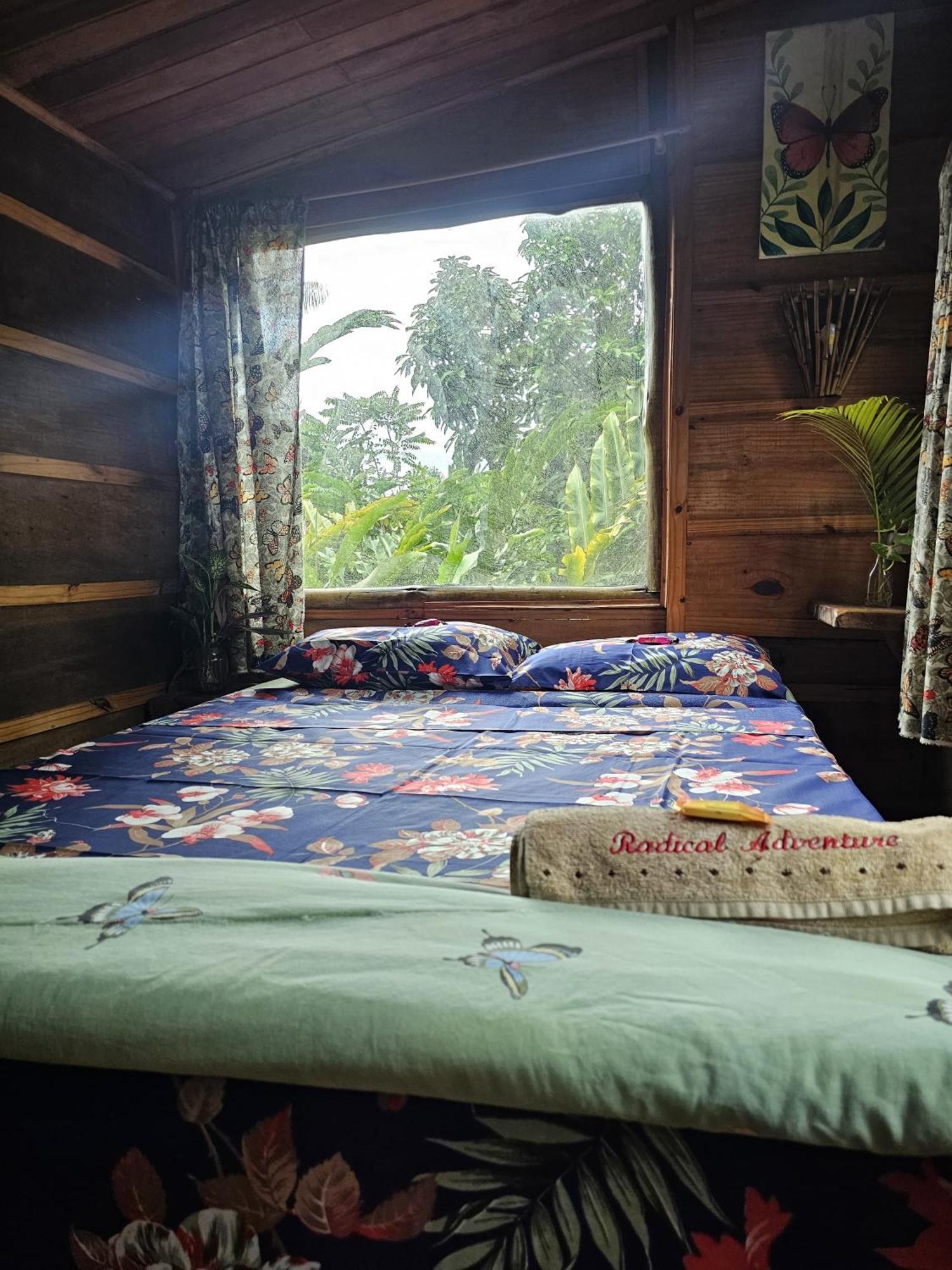 Eco Hostel Organic Life Trindade  Buitenkant foto